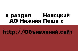  в раздел :  . Ненецкий АО,Нижняя Пеша с.